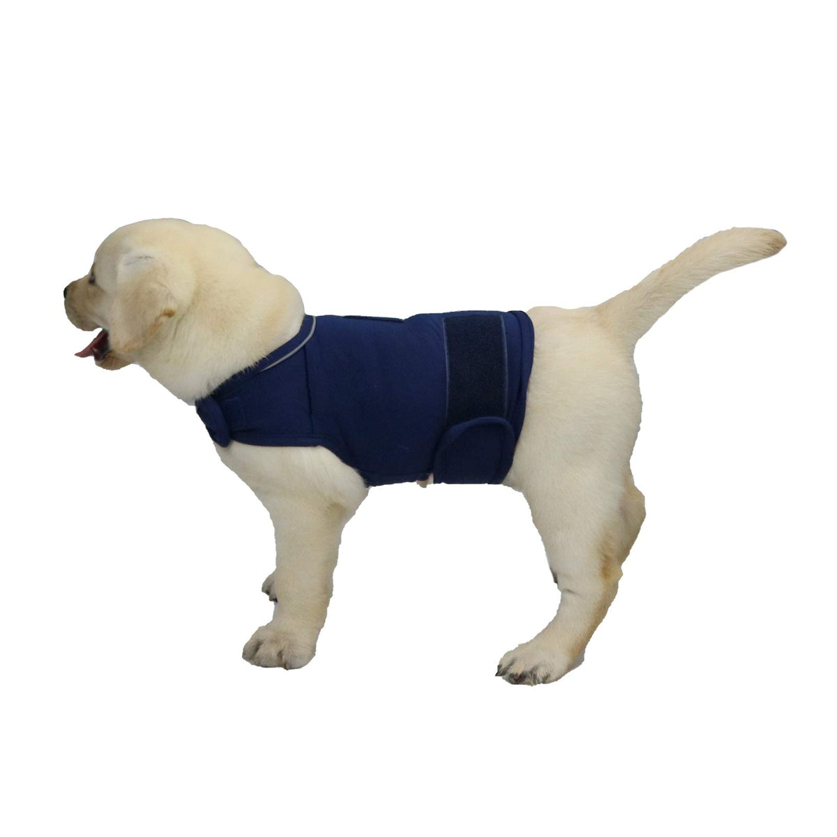Cattamao Comfort dog anxiety coat close-up back massage promotes calm during stressful moments