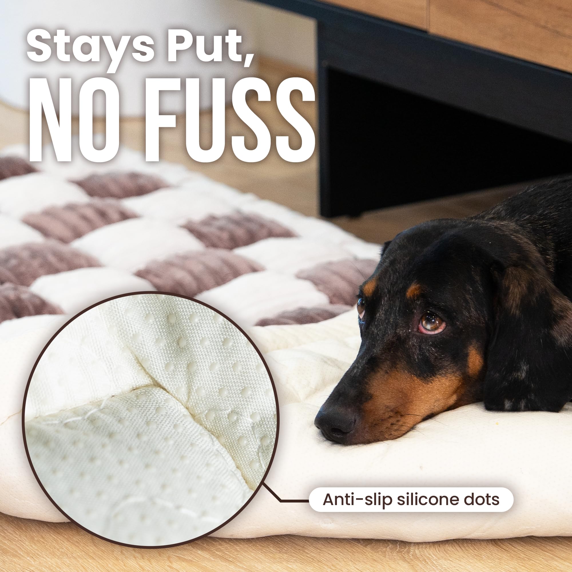 Cattasaurus washable fabric enables quick cleanup after messes.