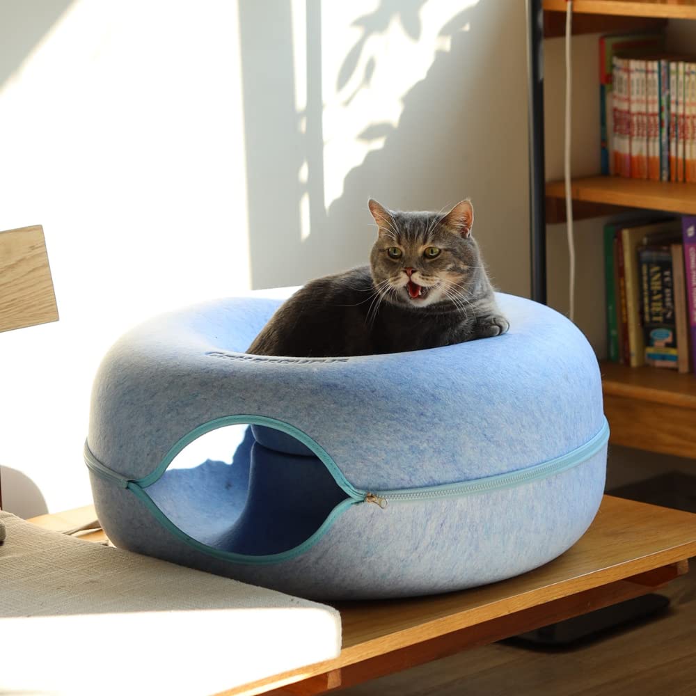 Cattasaurus Peekaboo cat cave blue option adds stylish interior contrast.