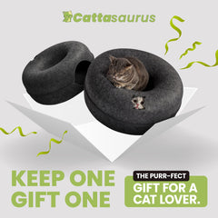Cattasaurus Peekaboo Cat Cave detachable tunnel, easy cleaning.