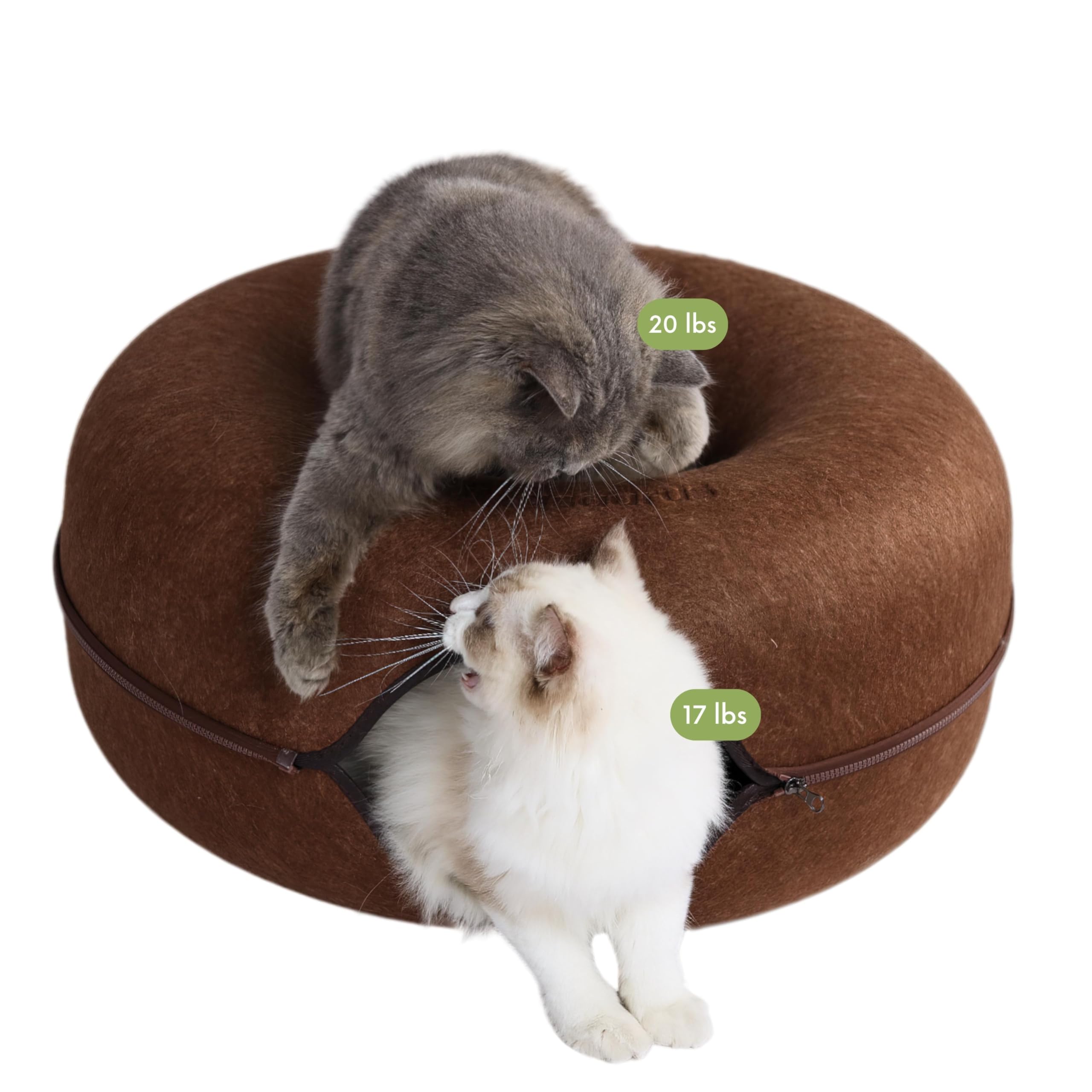 Cattasaurus Peekaboo Cat Cave donut bed top view for cozy lounging and shape retention