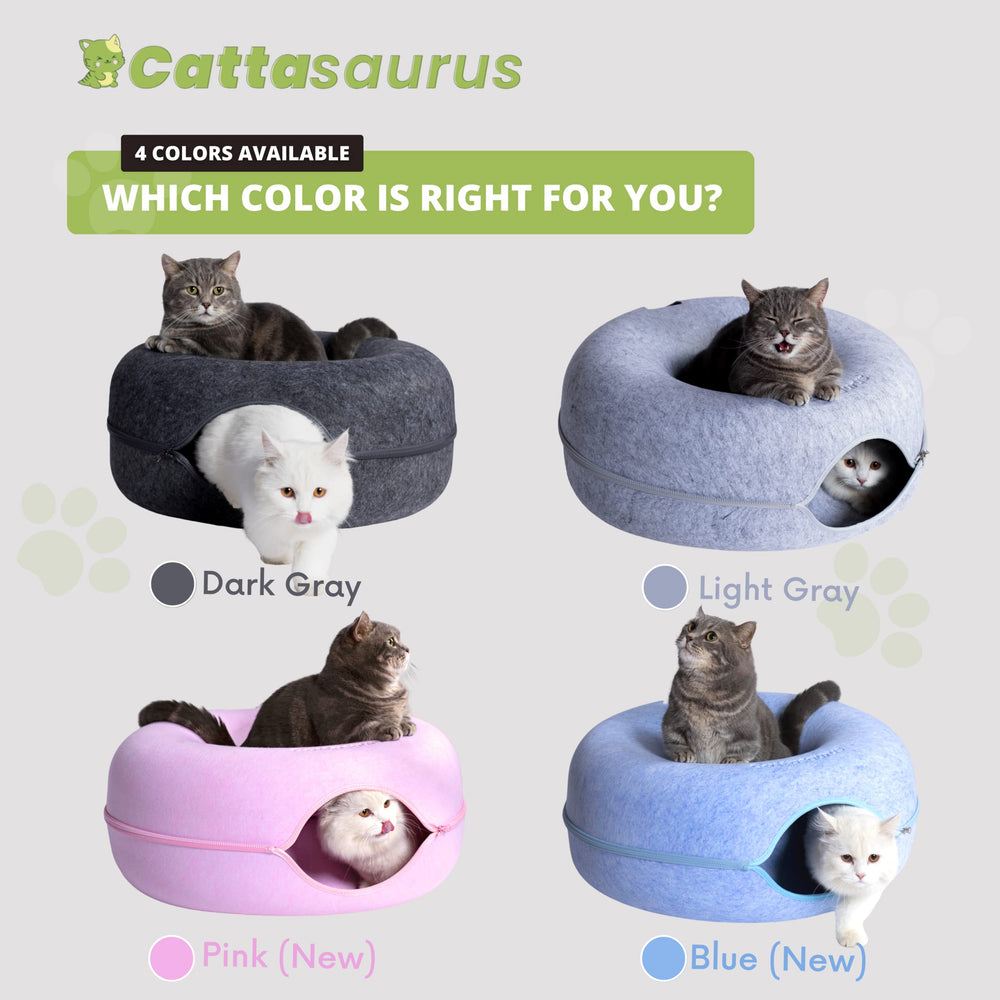 Cattasaurus Peekaboo cat cave in-use with multiple pets highlights shared comfort.