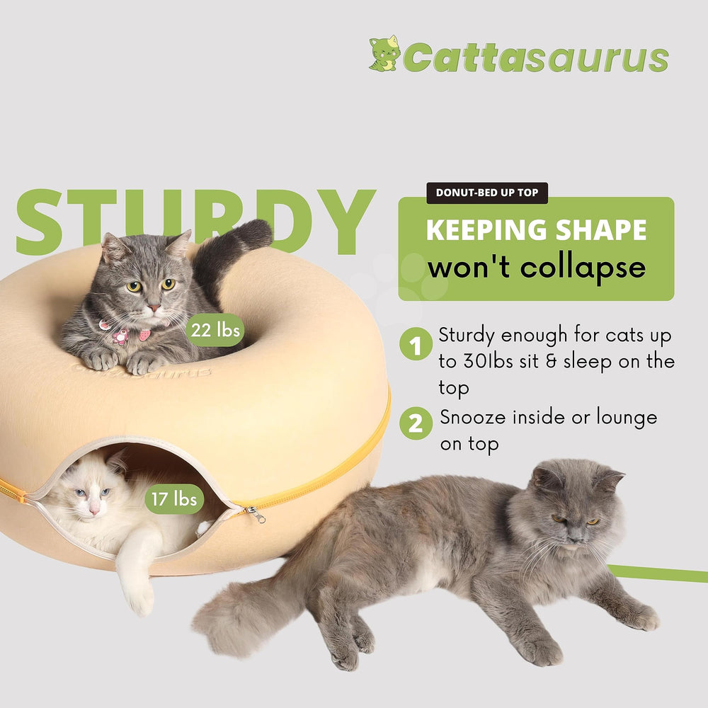 Cattasaurus Peekaboo Cat Cave spacious for cats up to 30-45 lbs and large breeds
