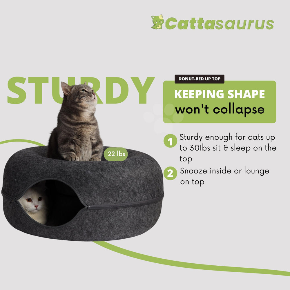 Cattasaurus Peekaboo cat cave peephole view showcases interactive play and bonding moments.