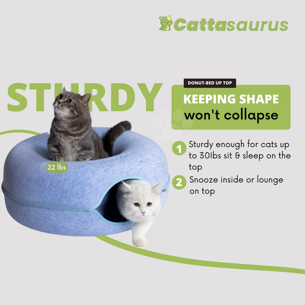 Cattasaurus Peekaboo cat cave peephole window encourages interactive play.