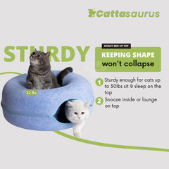 Cattasaurus Peekaboo cat cave peephole window encourages interactive play.