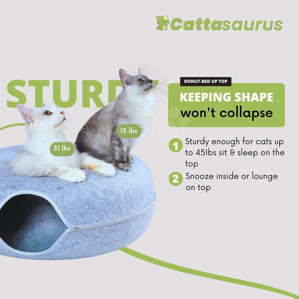 Cattasaurus Peekaboo Cat Cave features a self-warming design for extra warmth