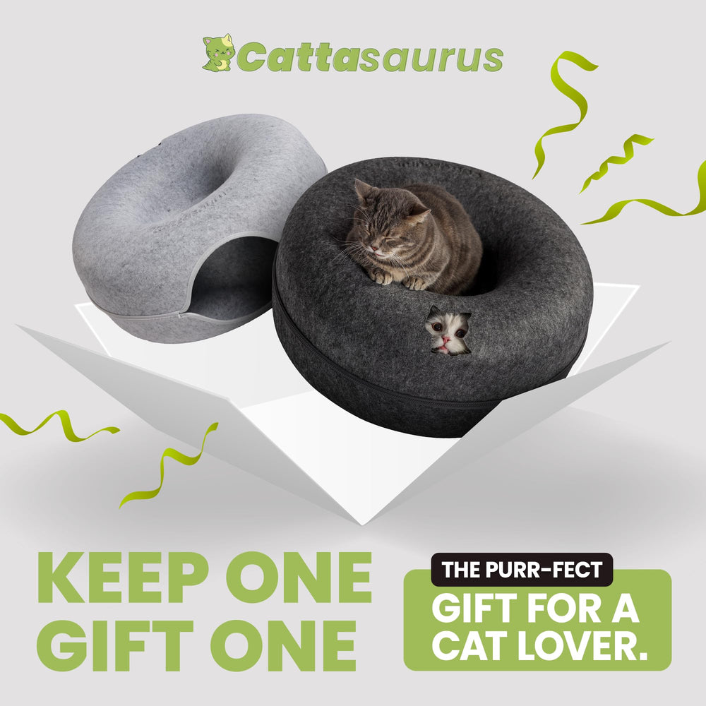 Cattasaurus Peekaboo cat cave storage recess view reveals hidden storage for accessories.