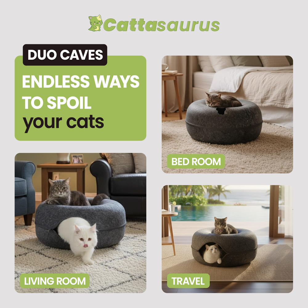 Cattasaurus Peekaboo Cat Cave tunnel bed, encourages safe scratching and play.