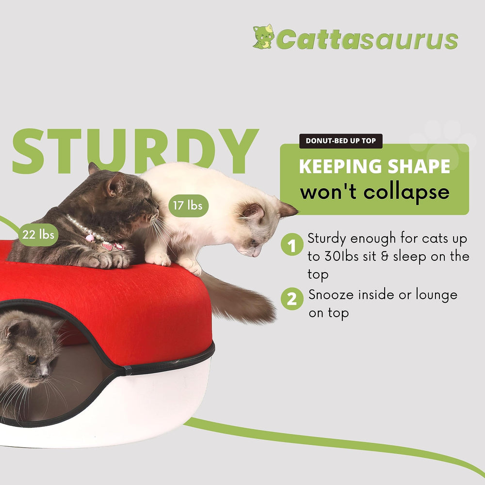 Cattasaurus Peekaboo color options blue match decor and hideaway comfort