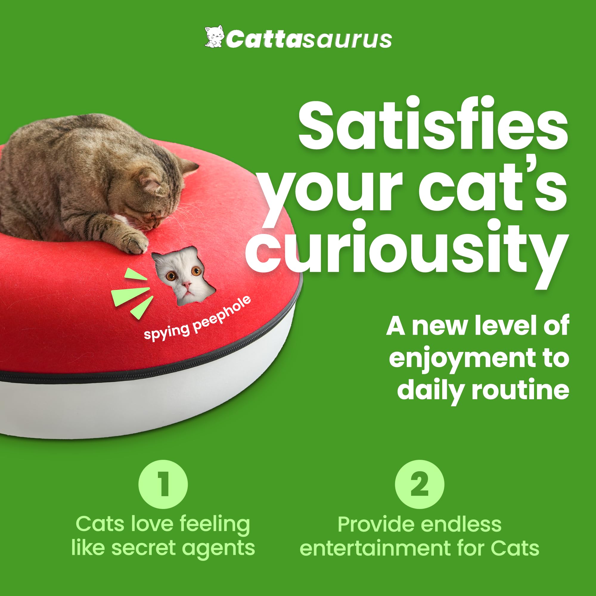 Cattasaurus Peekaboo detachable-bottom demonstrates simple cleaning and maintenance.