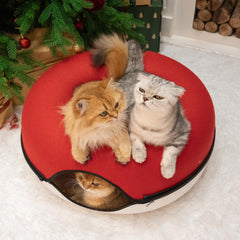 Cattasaurus Peekaboo detachable tunnel cleanable design simplifies washing after messy paws