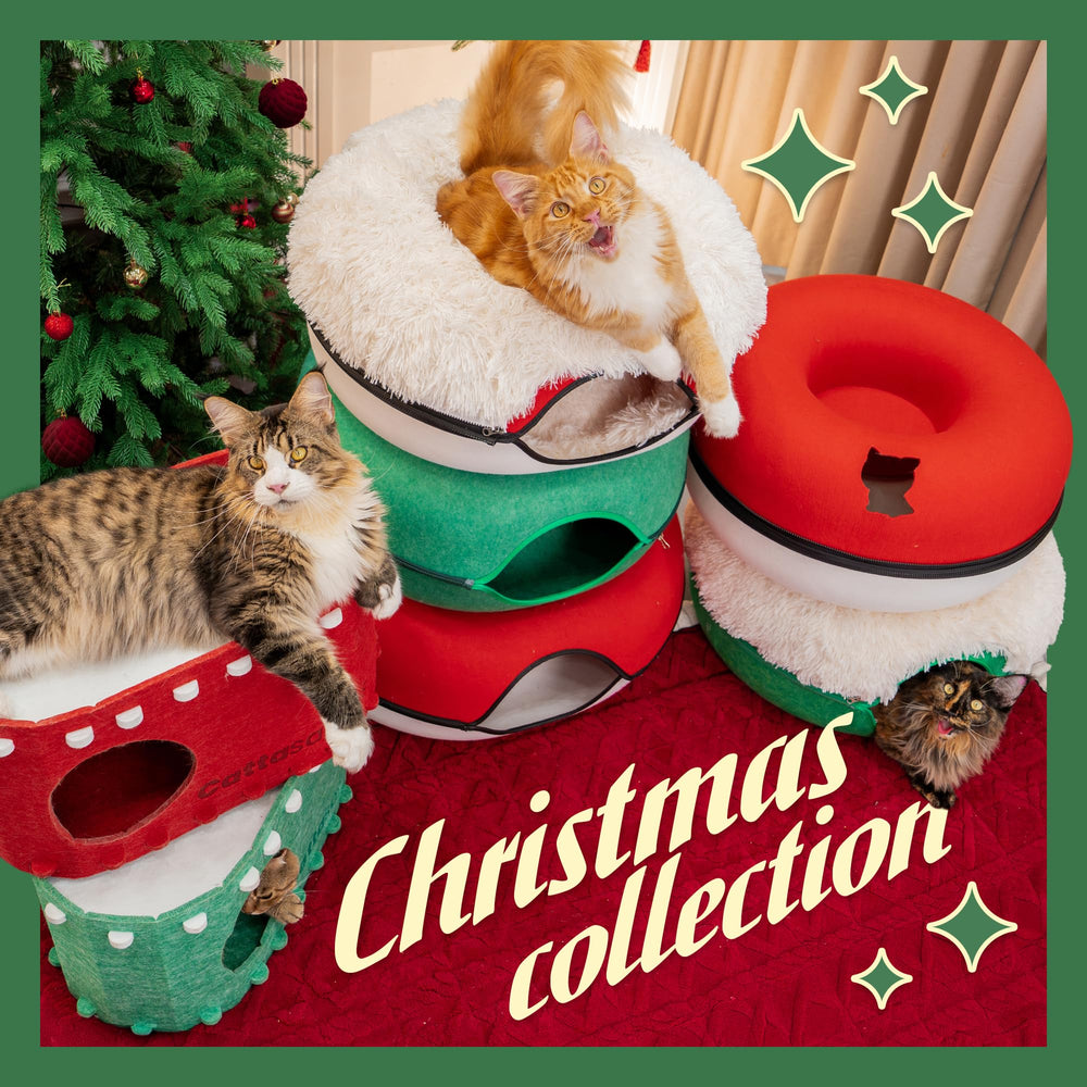 Cattasaurus Peekaboo inside-tunnel shows spacious, multi-cat-friendly entry.