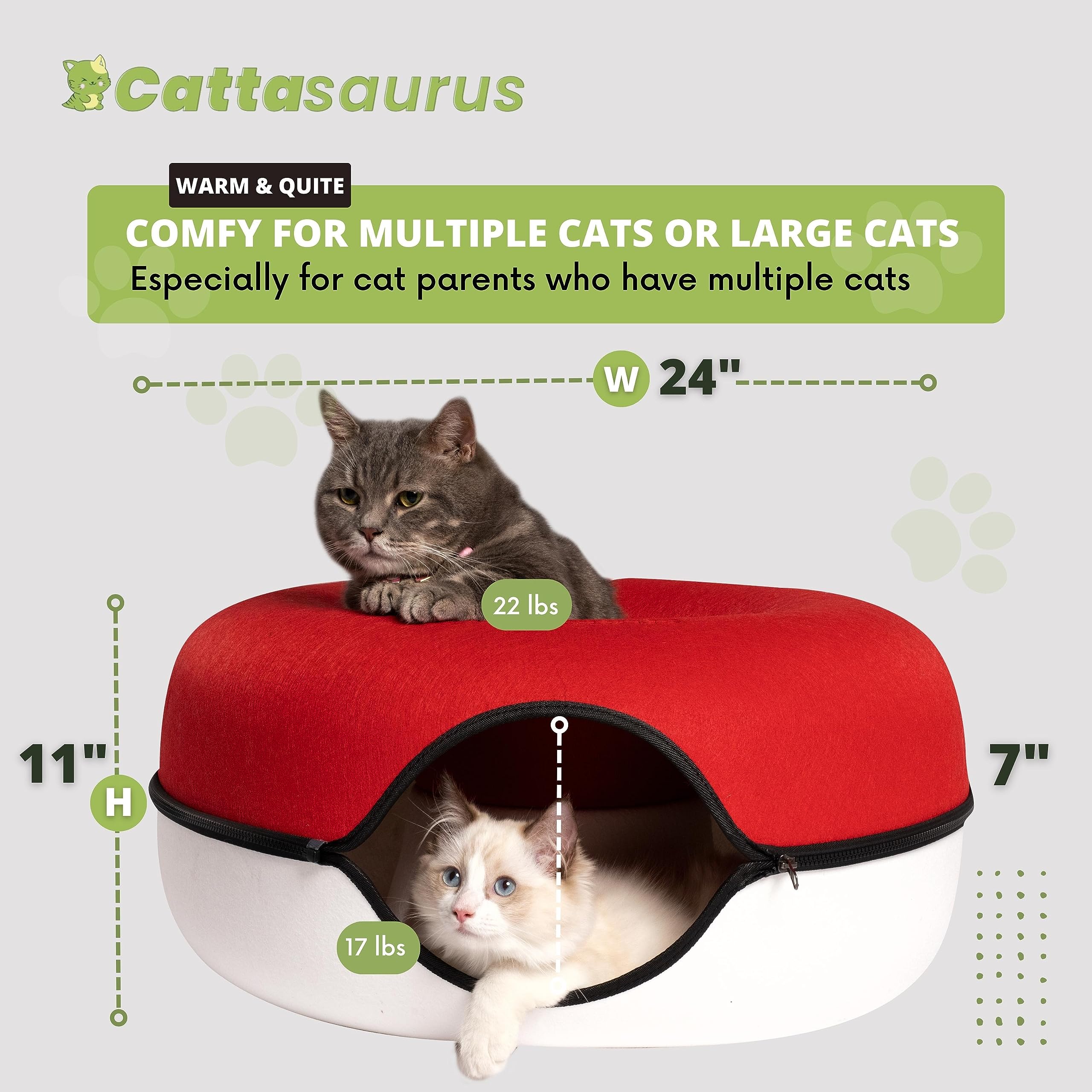 Cattasaurus Peekaboo peephole window highlights gentle owner-cat interaction during curious play