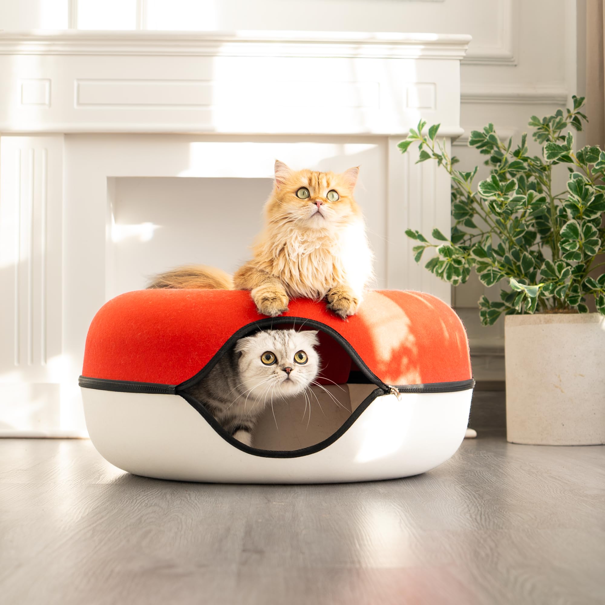Cattasaurus Peekaboo ruby-snowball captures a stylish, plush cat cave color.