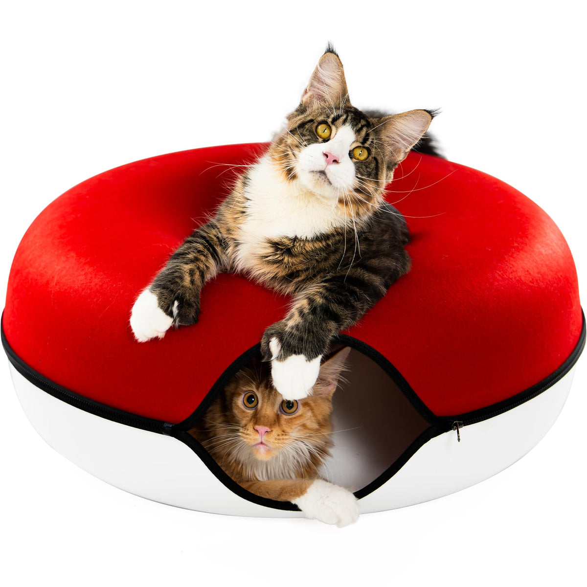 Cattasaurus Peekaboo top-donut view provides a cozy perch for large cats.
