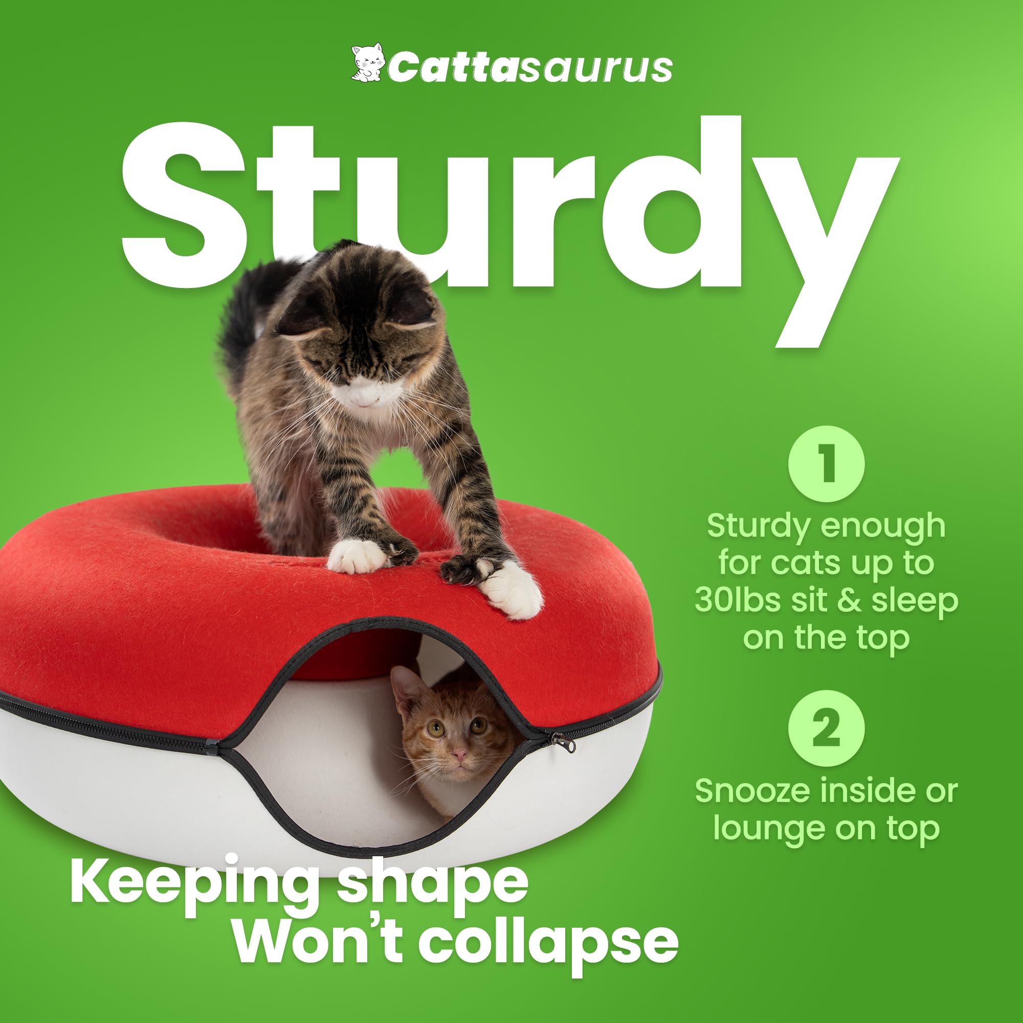 Cattasaurus Peekaboo windows display interactive peekaboo play and bonding.