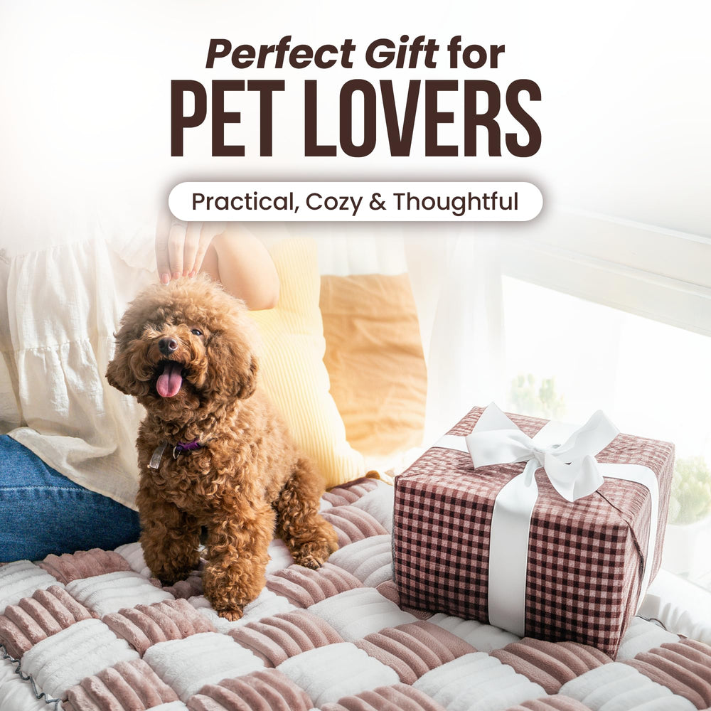 Cattasaurus plush PP cotton filling provides soft support.