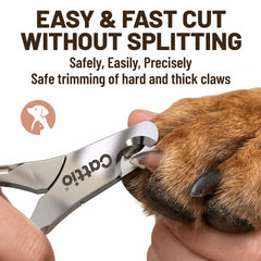 Cattio professional pet hospital-grade clippers for precise nail care