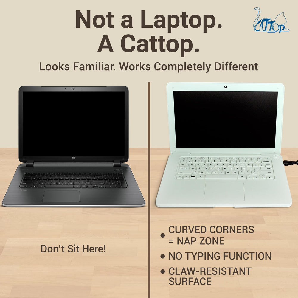 Cattop cat laptop toy makes a fun gift for cat lovers and pet owners.