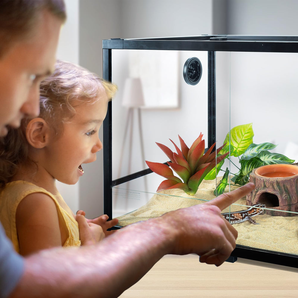 CAVACHEW small-reptile-habitat-ideas supports creative terrarium setups for diverse species.