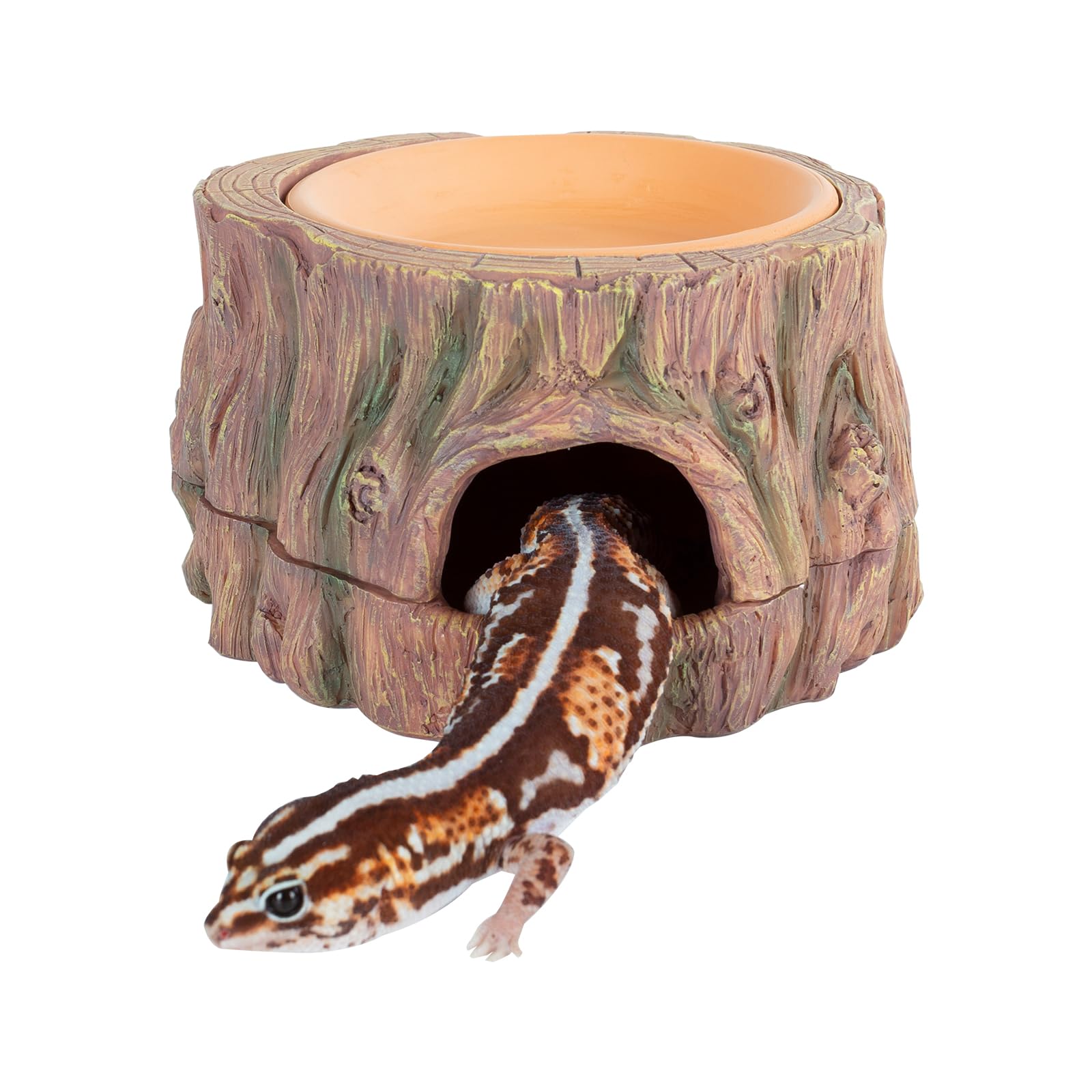 CAVACHEW tree-hide cave sits in a terrarium offering a secure retreat for small reptiles.