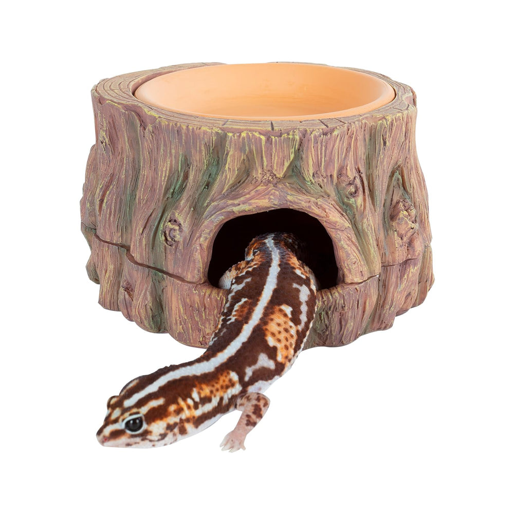 CAVACHEW tree-hide cave sits in a terrarium offering a secure retreat for small reptiles.