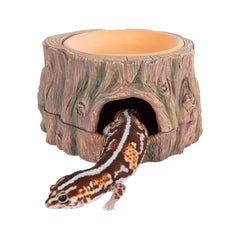 CAVACHEW tree-hide cave sits in a terrarium offering a secure retreat for small reptiles.