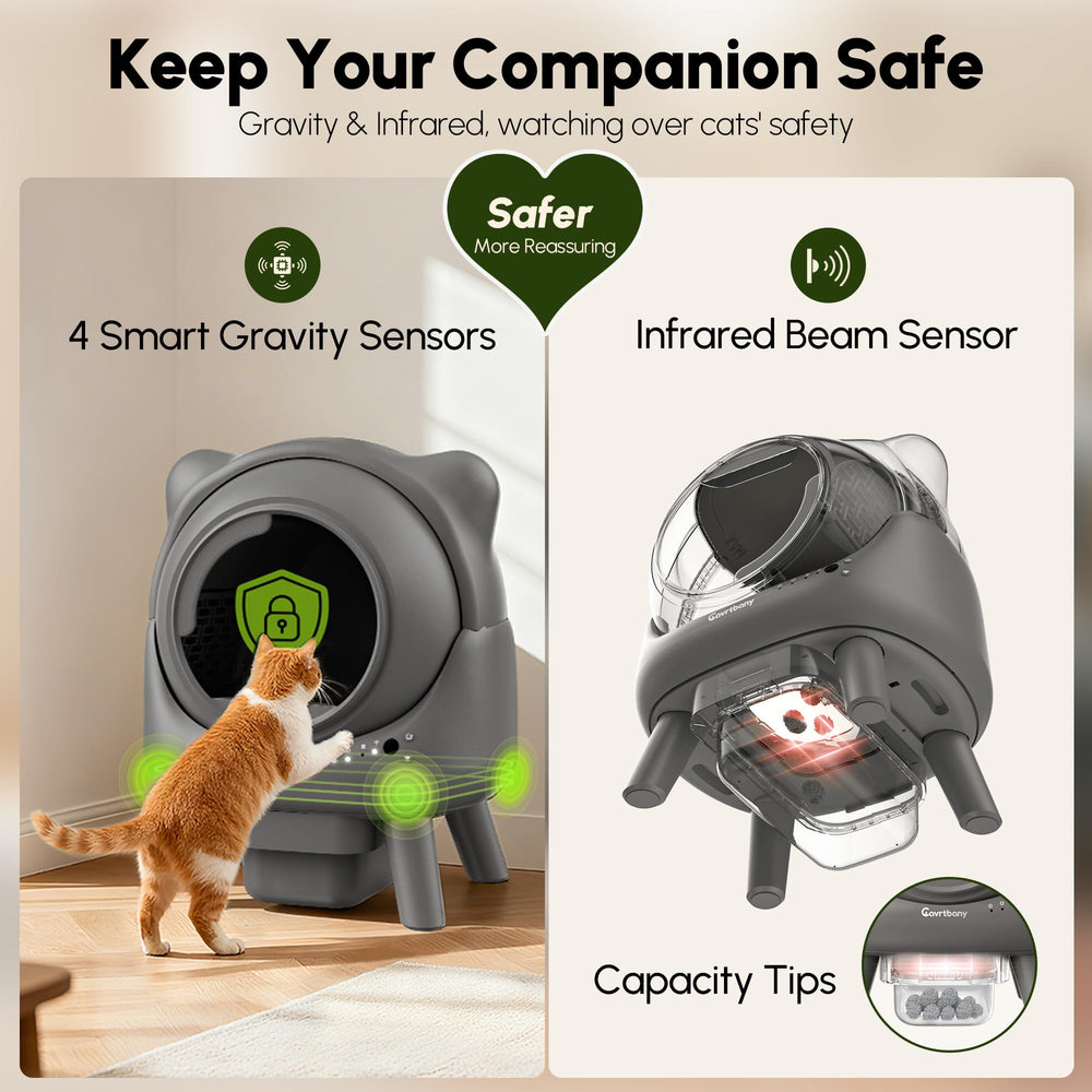 Cavrtbany multi-cat friendly design illustrates spacious interior and versatile use.