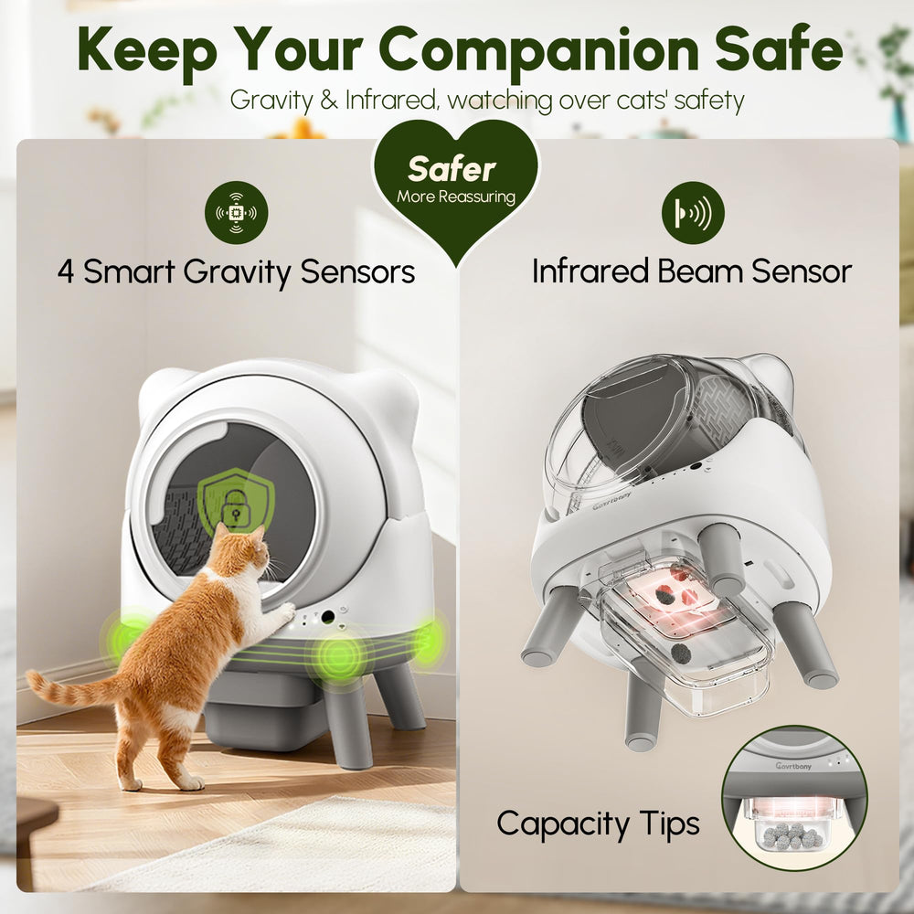 Cavrtbany multi-cat usage setup demonstrates suitability for several felines