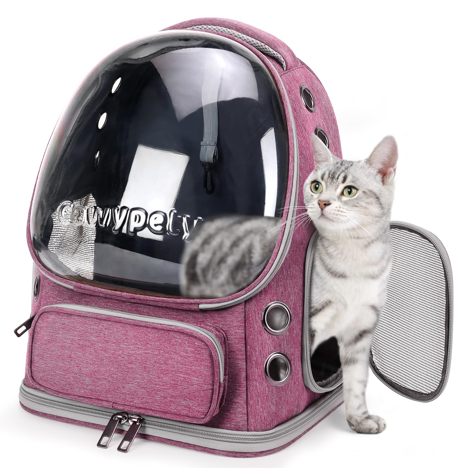 Cawypety cat backpack bubble-window enhances sunny, comfortable travel for cats