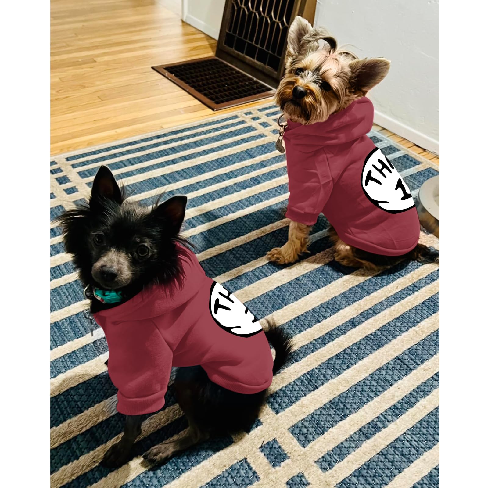 Cayxatiu dog hoodie fabric close-up reveals soft, skin-friendly material