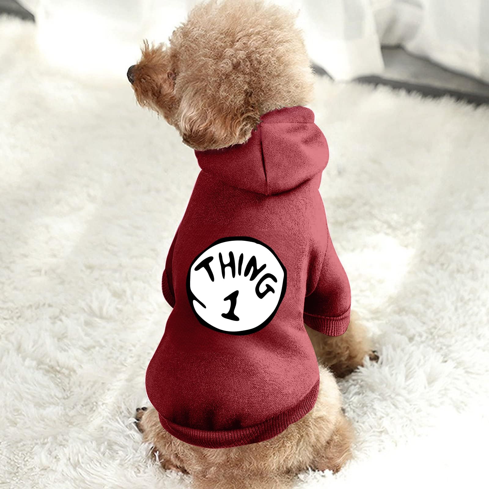 Cayxatiu size chart guide helps find a comfortable fit for small dogs