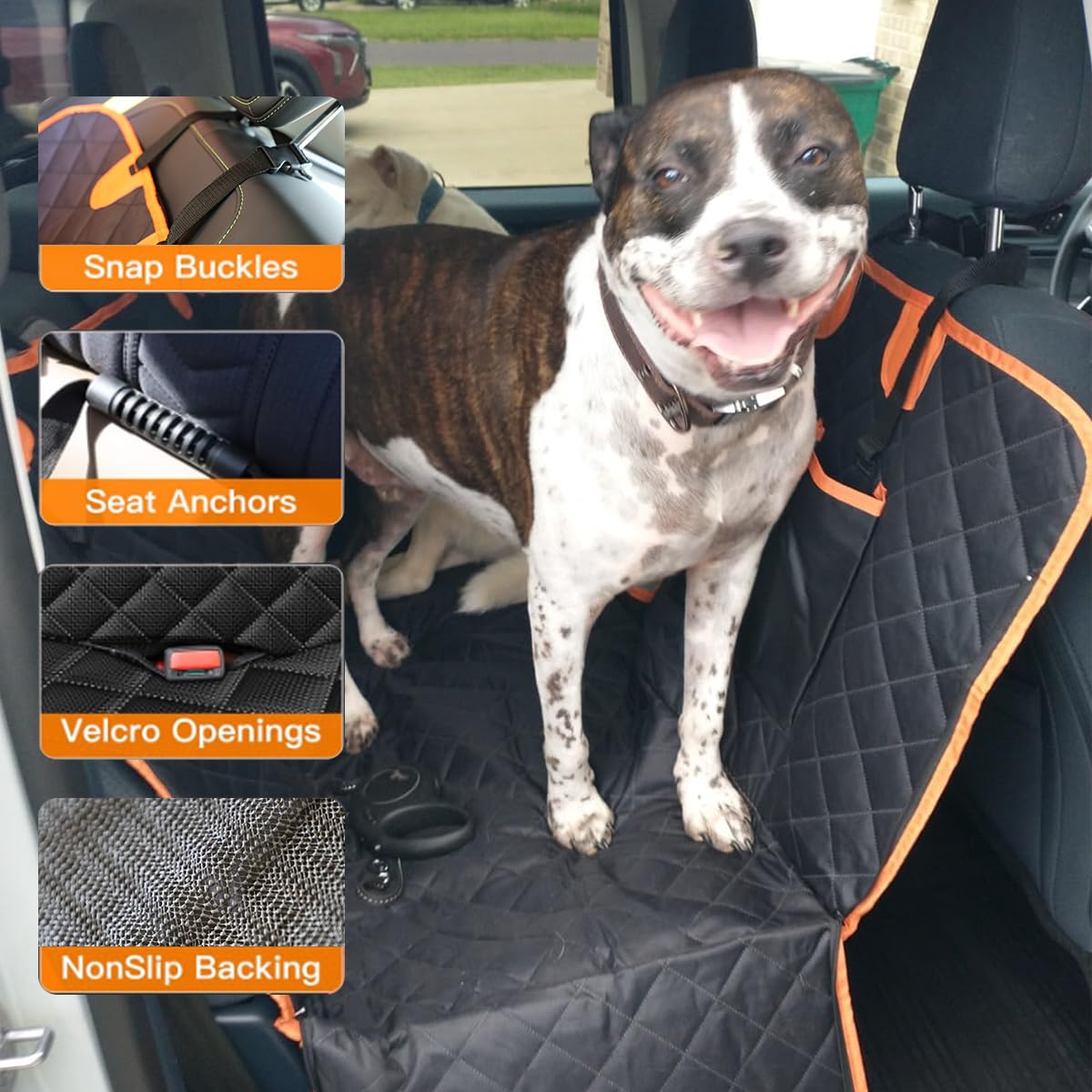 CBBPET seat anchors keep the cover in place during travel