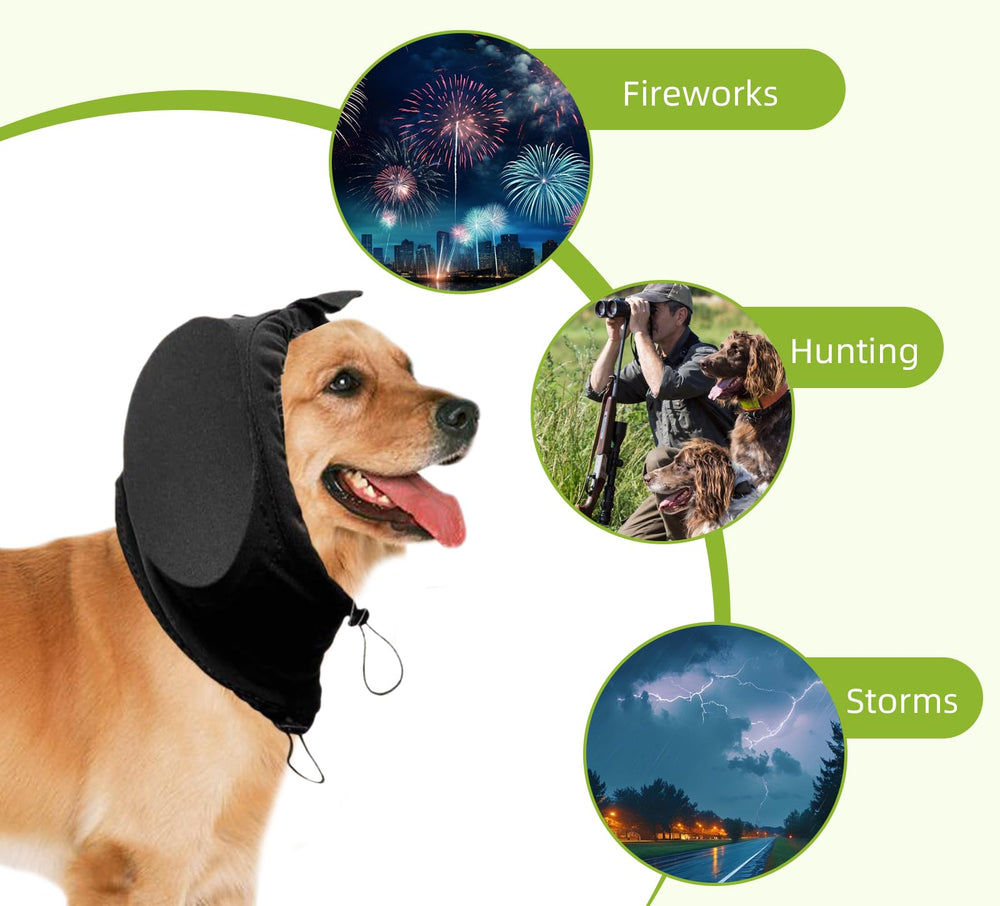 CC & DD Junora dog ear muffs on a dog providing noise protection during fireworks