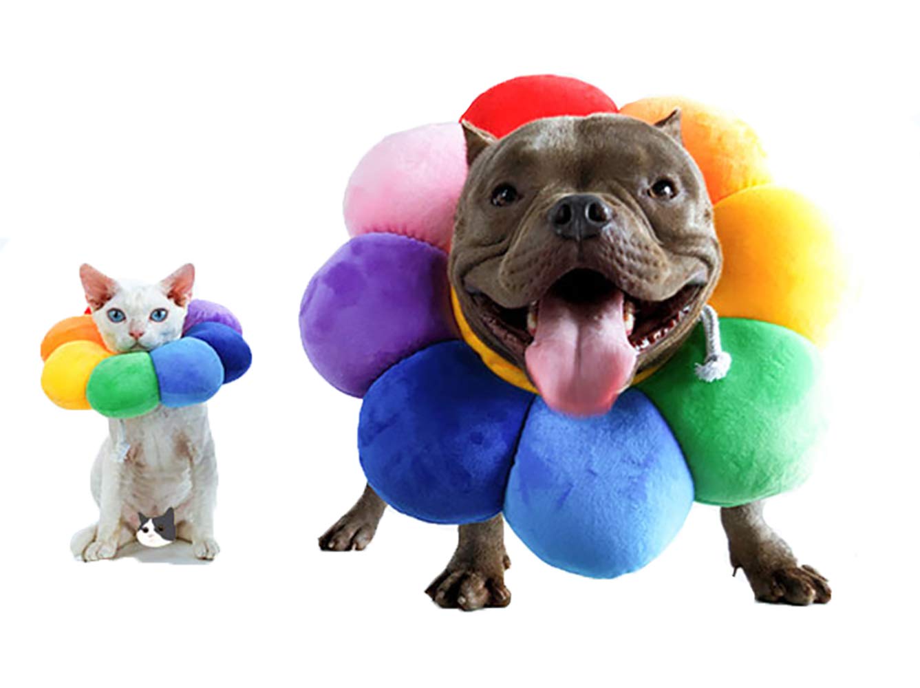 ccypet recovery collar soft edge sunflowers offers comfortable protection during recovery