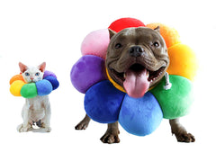 ccypet recovery collar soft edge sunflowers offers comfortable protection during recovery