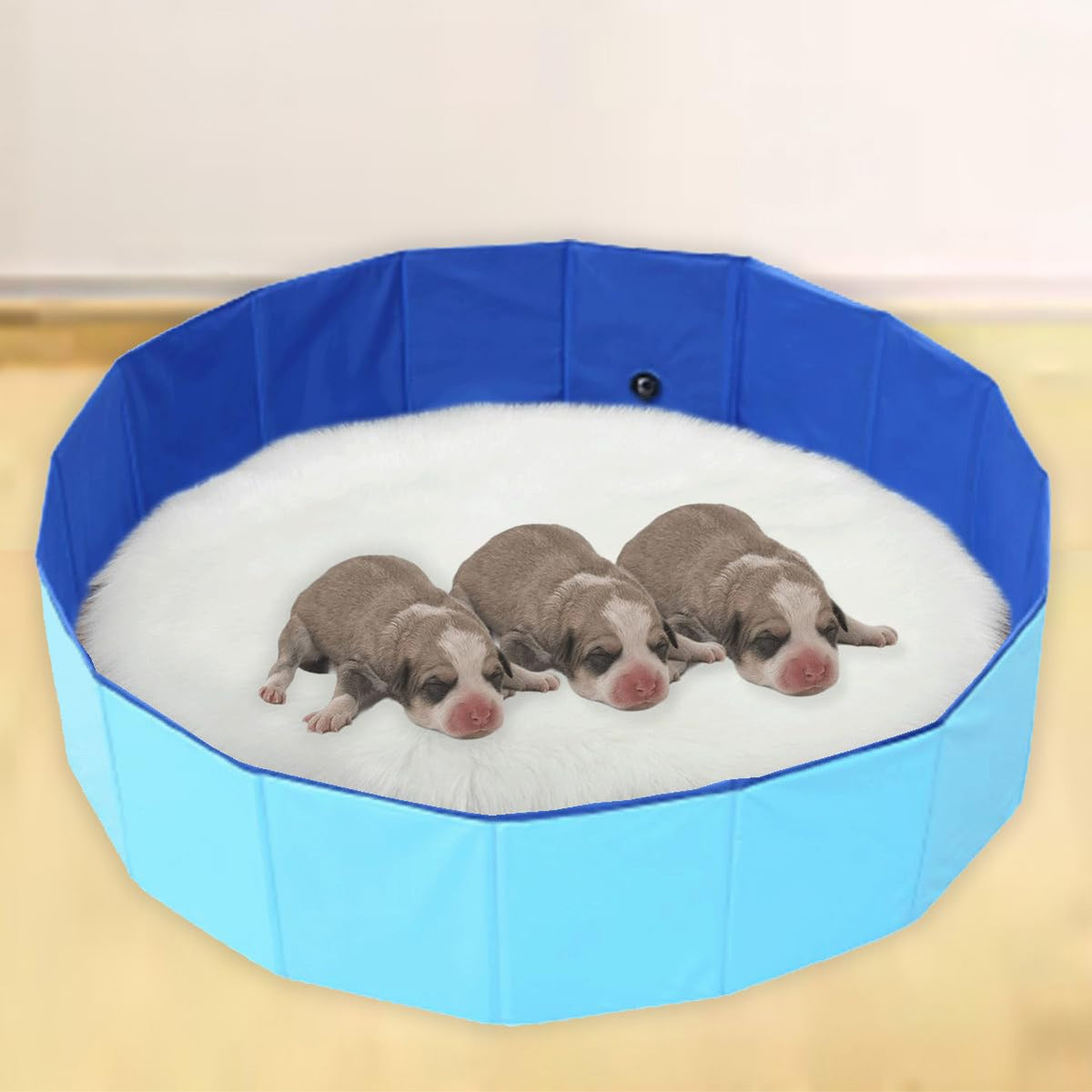 Cdycam portable dog birthing pool 32x8 offers a safe whelping or cooling space.