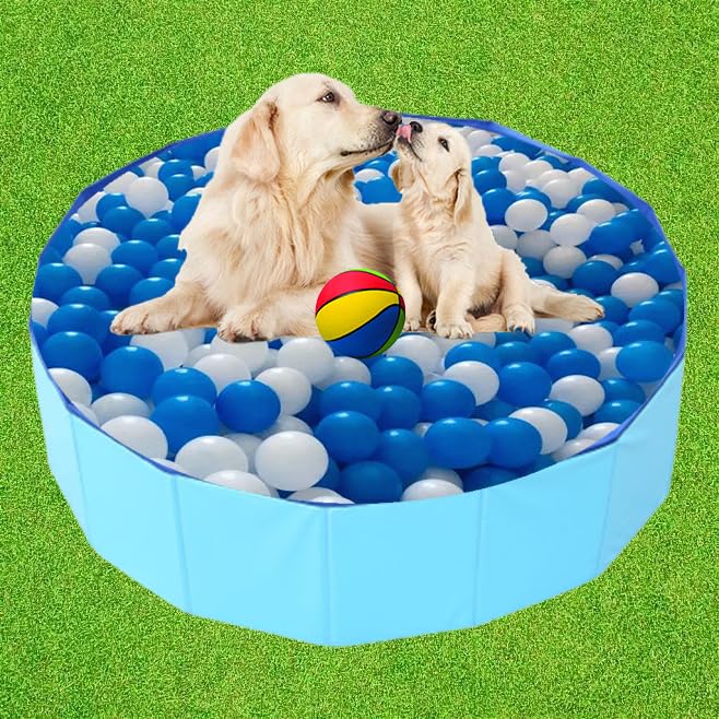 Cdycam wide-use pool doubles as a pet bath, outdoor pond, or sandbox.
