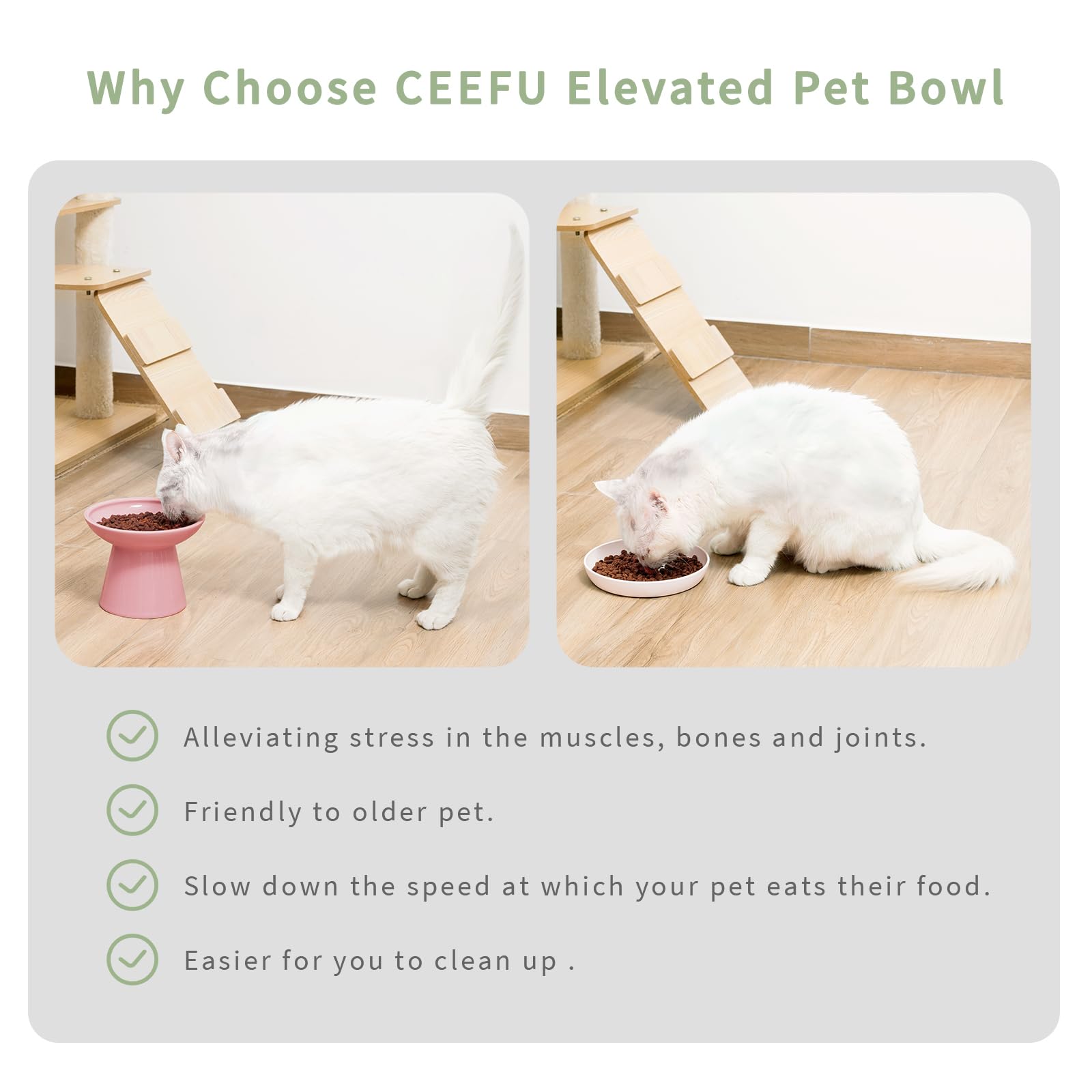 CEEFU 2 elevated cat bowls water bowl deeper helps comfortable drinking posture