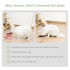 CEEFU 2 elevated cat bowls water bowl deeper helps comfortable drinking posture