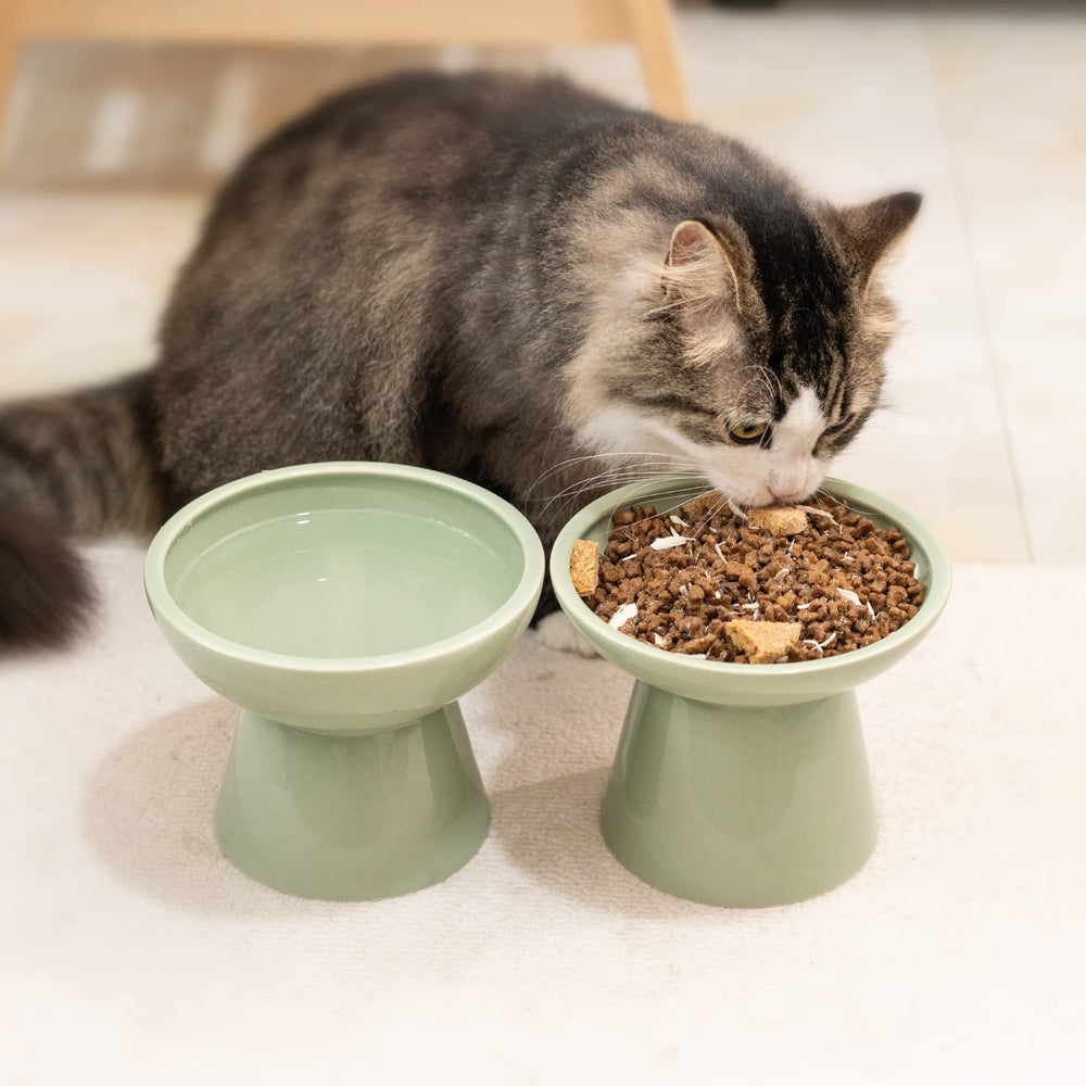 CEEFU dishwasher-safe cat bowls for easy cleaning