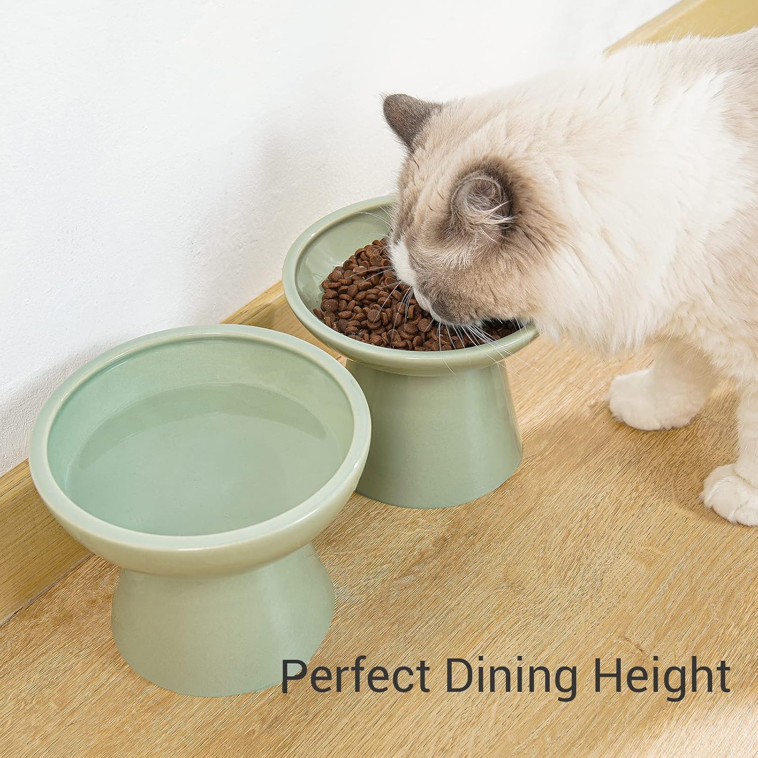 CEEFU ceramic cat bowls close-up highlighting durable material