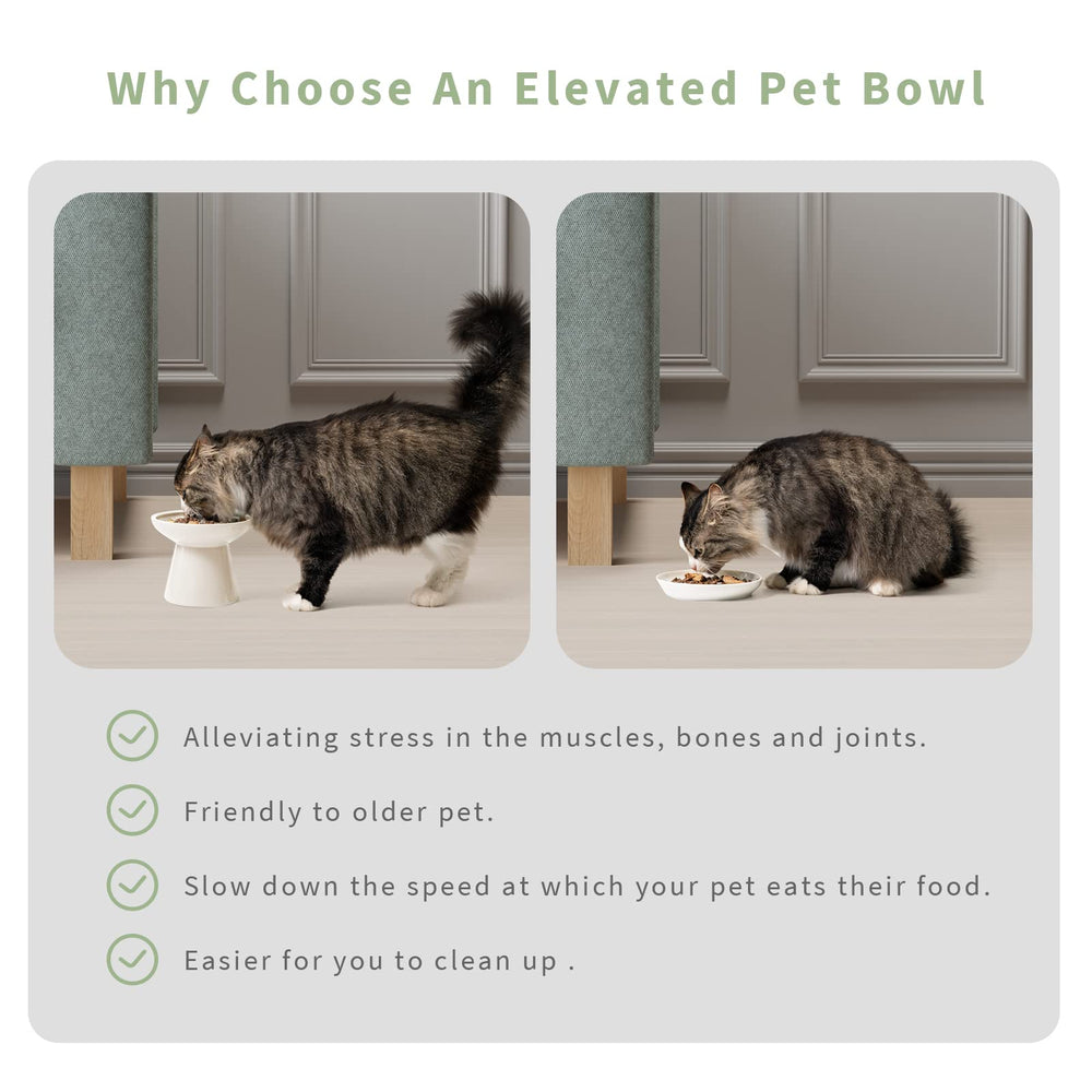 CEEFU ceramic is lead- and cadmium-free for safe daily use.