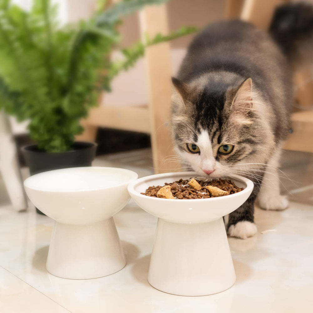 CEEFU elegant white design complements modern homes with subtle pet-friendly style.