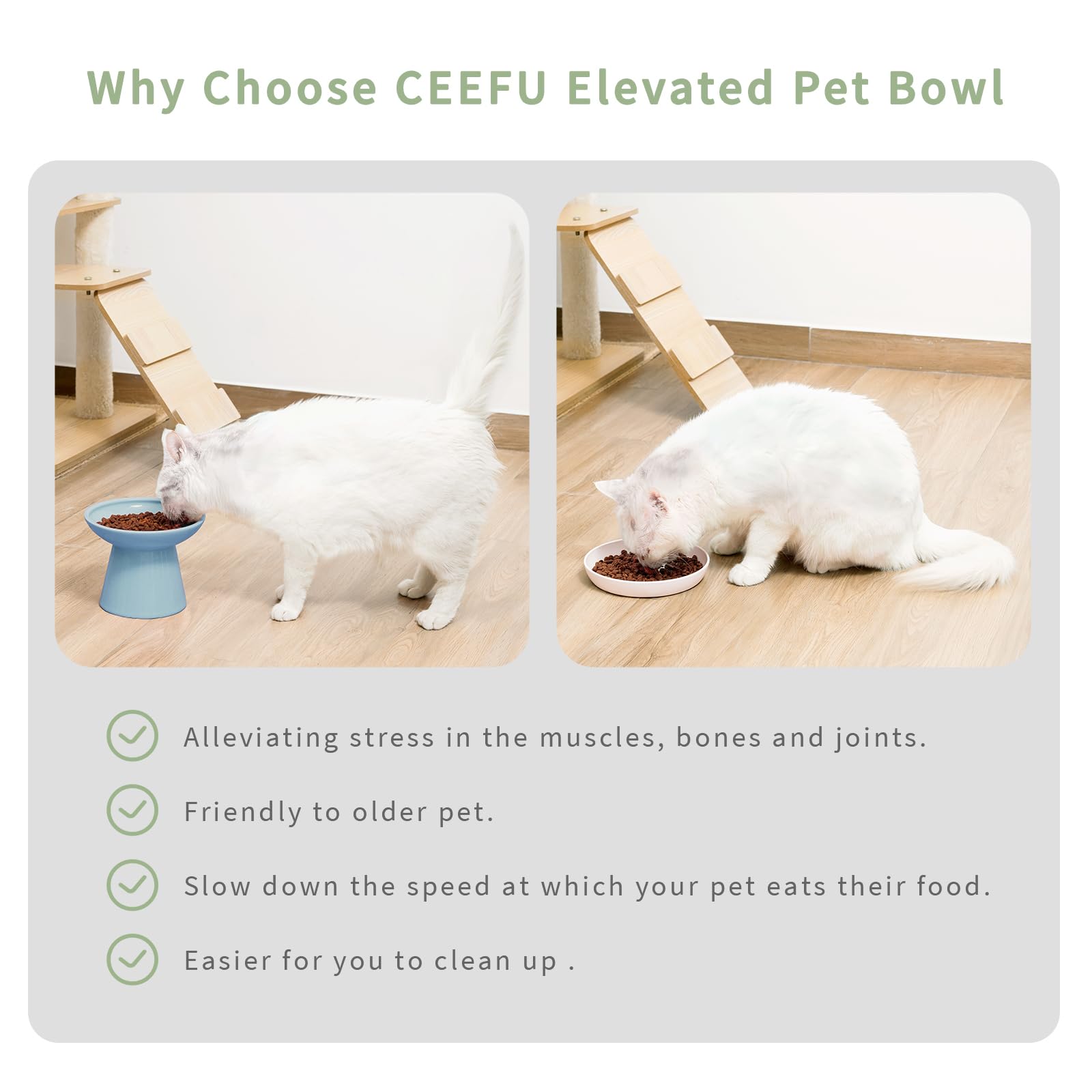 CEEFU elevated bowls dishwasher-safe ceramic for easy cleaning