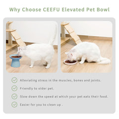 CEEFU elevated bowls dishwasher-safe ceramic for easy cleaning