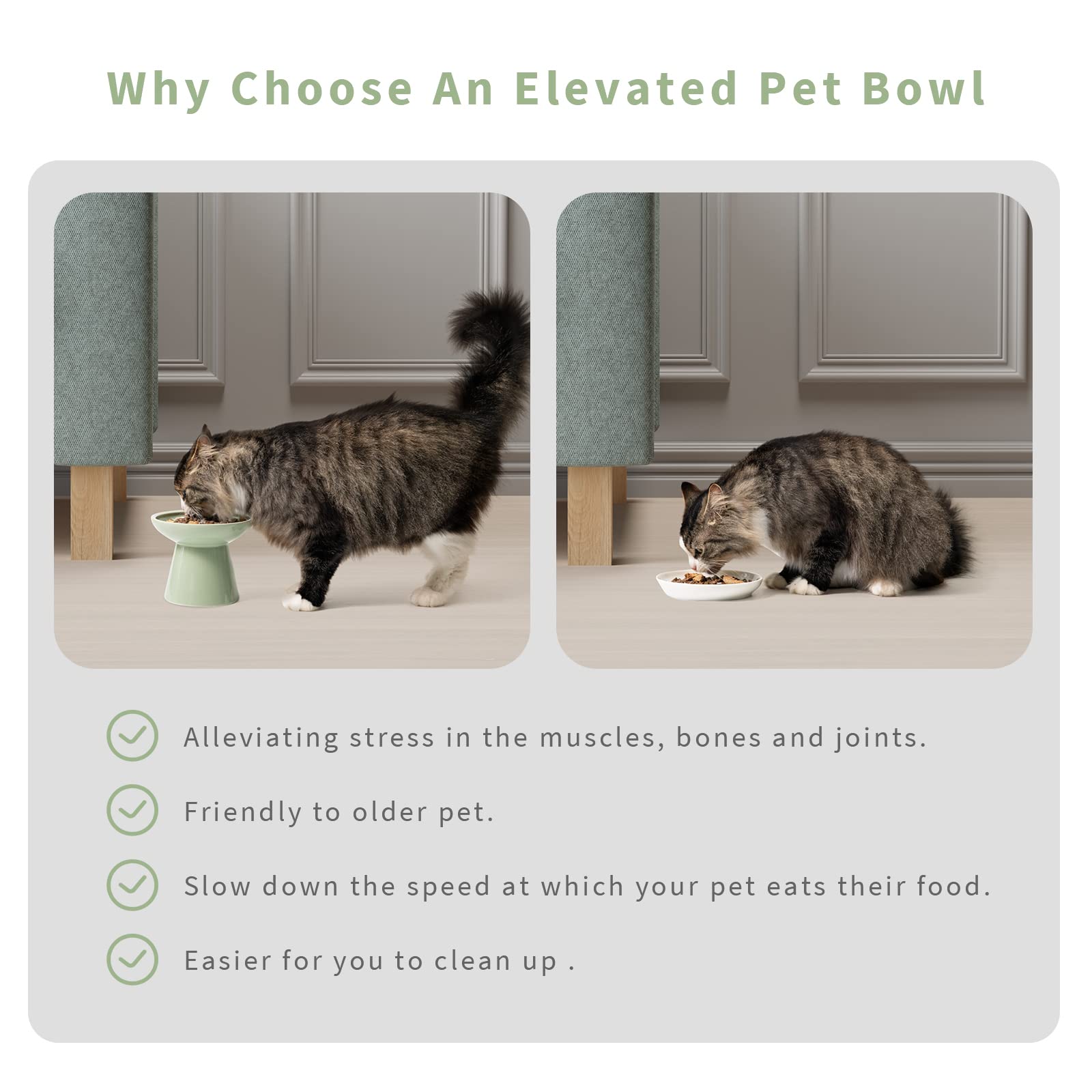CEEFU lead cadmium-free ceramic bowls for safe dining