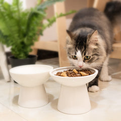 CEEFU lead- and cadmium-free dishwasher-safe bowl for easy cleaning