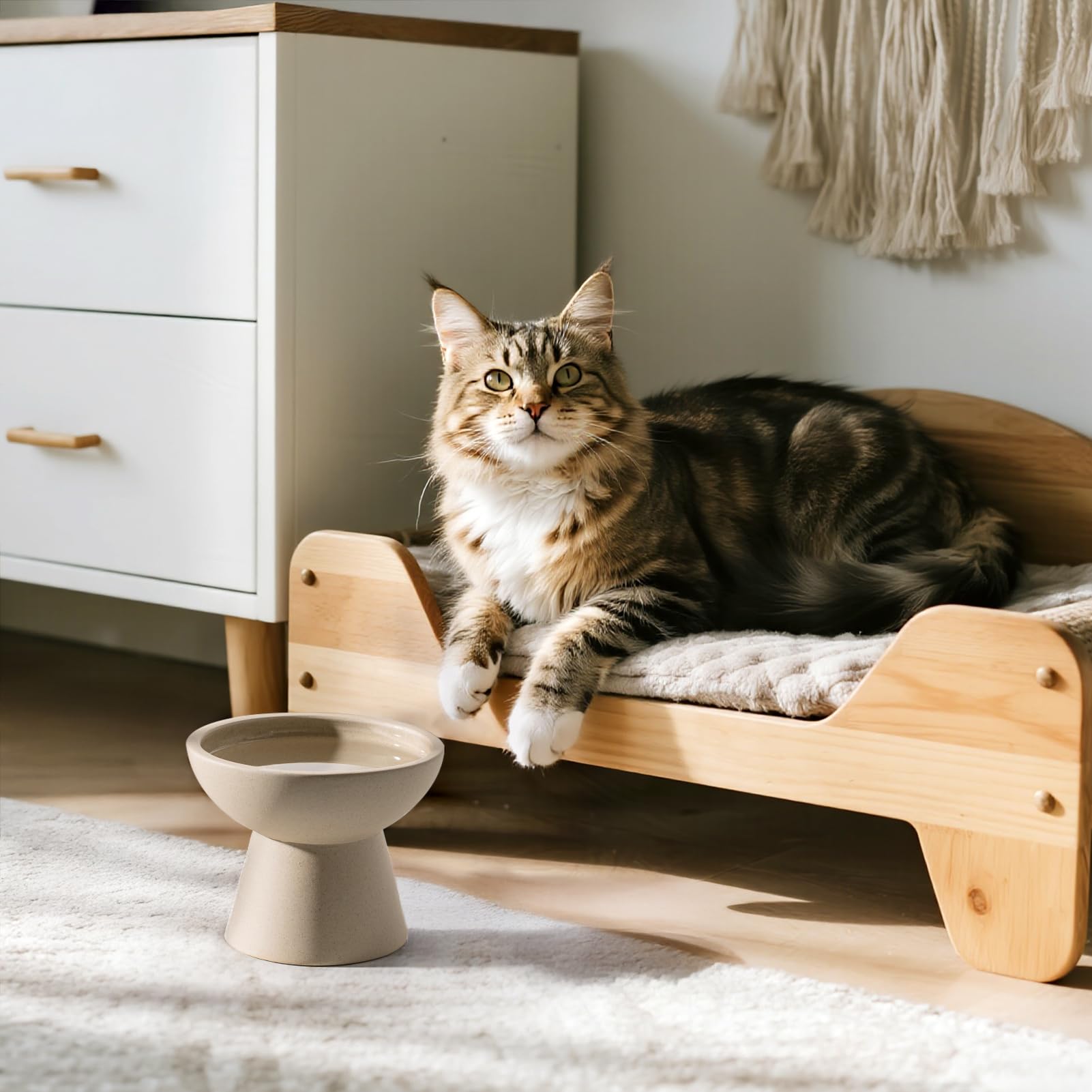 CEEFU modern ceramic cat bowl on dining table highlighting durable, lead-free design.